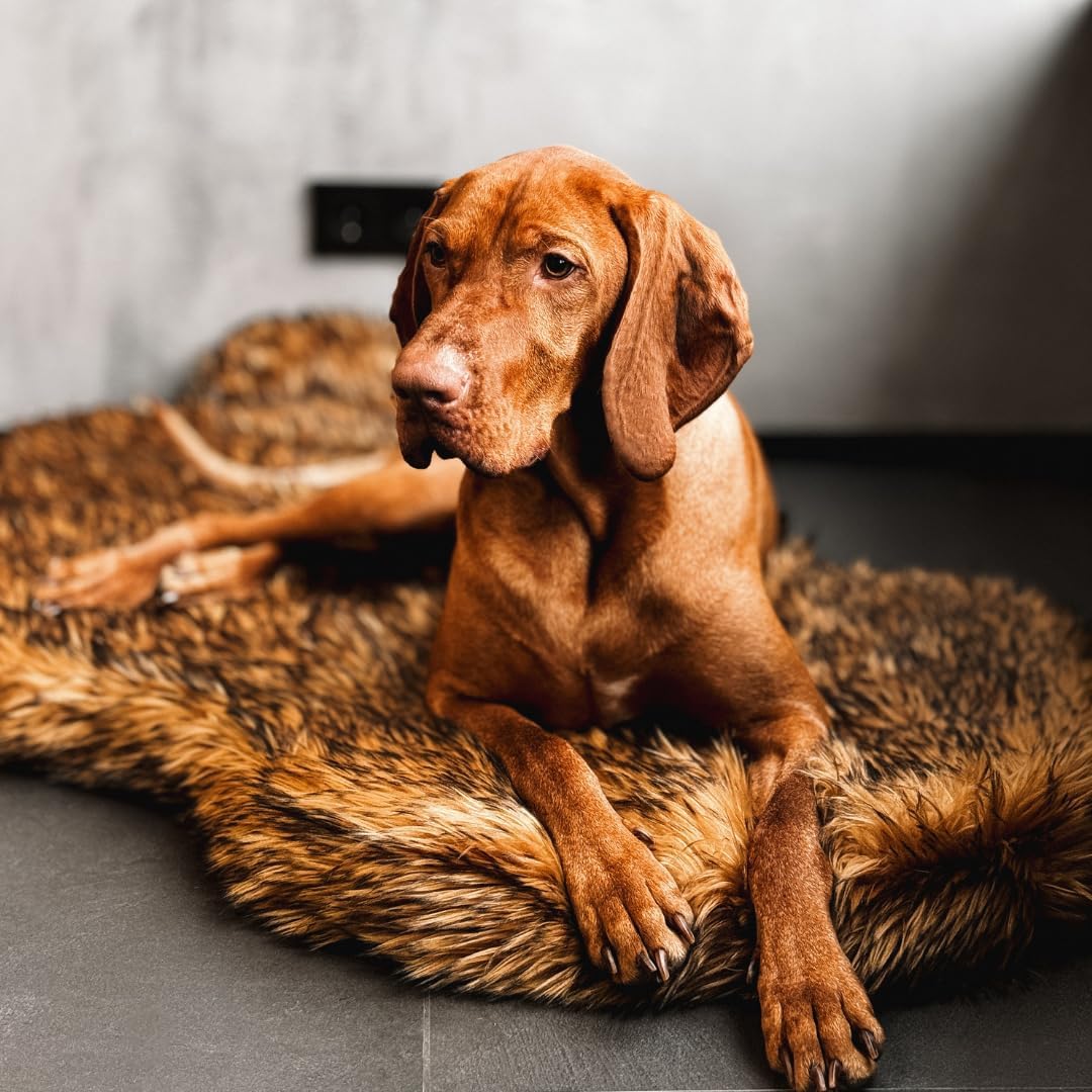 IHAPPYDOG Luxury Faux Fur Orthopedic Dog Bed, Memory Foam Dog Bed for Small, Medium, Large and XL Pets, Fluffy Pet Bed with Waterproof and Washable Cover (Brown, 60"x35")