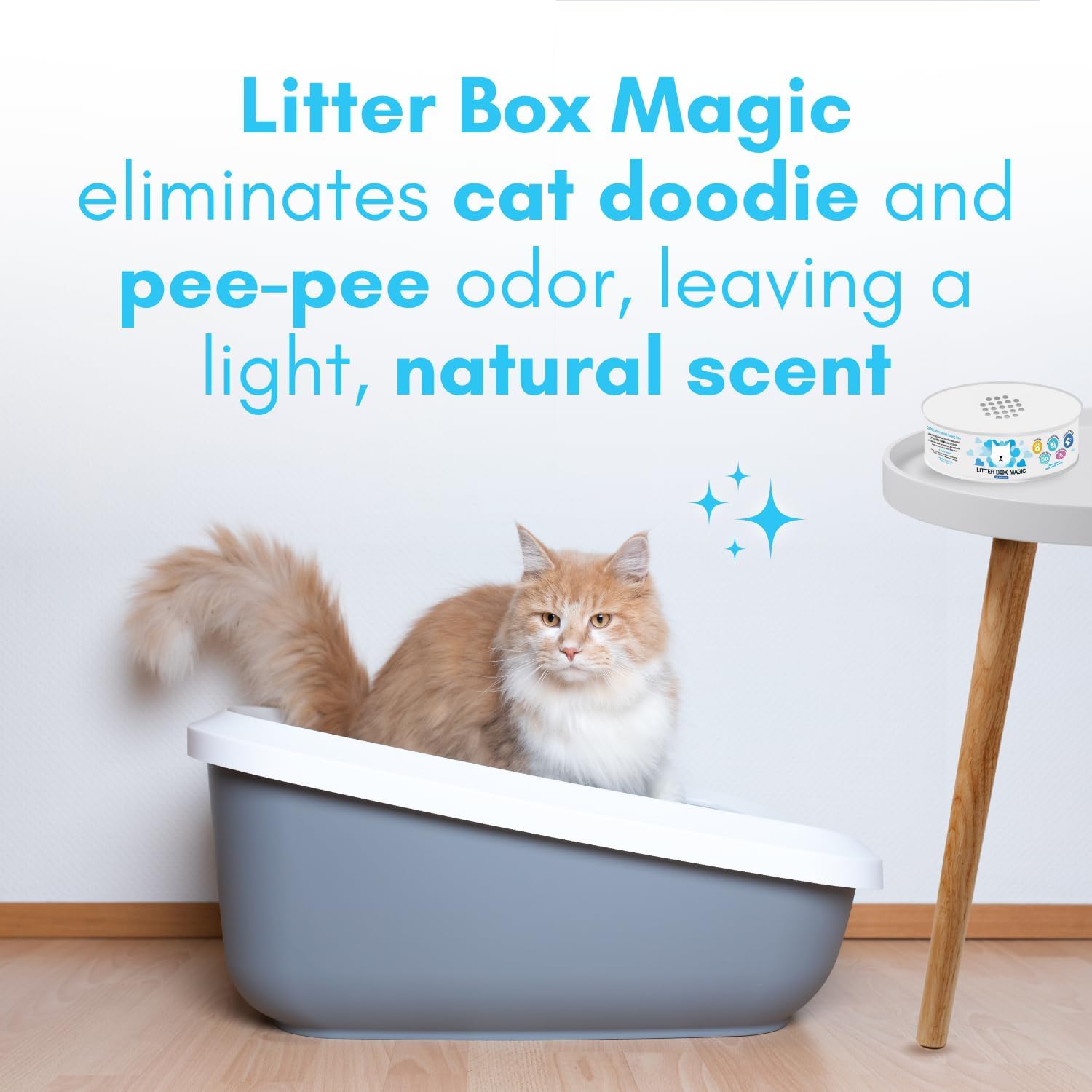 Cat Litter Deodorizer Jar (Fresh Scent, 16 Oz, Pack of 1) - Cat Litter Odor Absorber Gel In A Jar - Litter Box Pet Air Freshener - Litter Odor Eliminator to Freshen Air