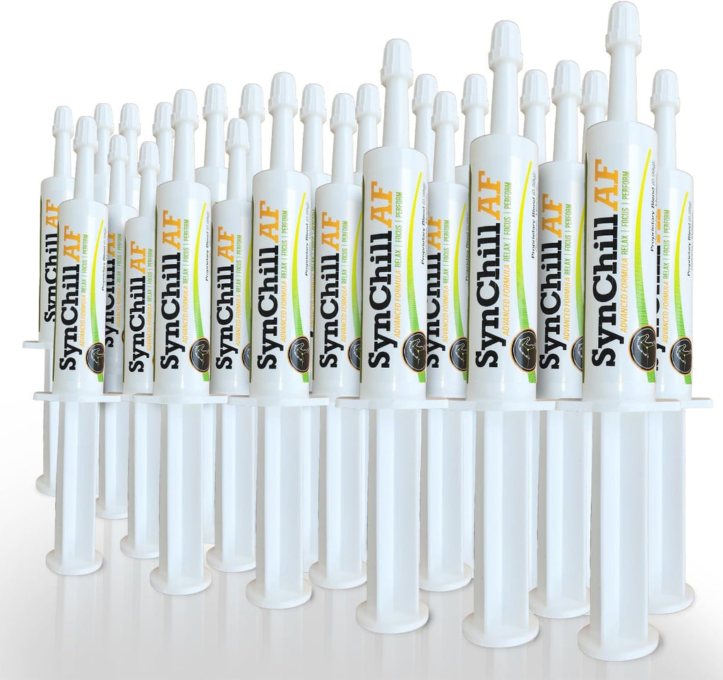 SynChill AF Calming Gel for Nervous Horses - Single Serving - Advanced Formula with L-Theanine, Increased Potency, 100% Natural Supplement, Disposition & Confidence Support for Horses - 25 Pack