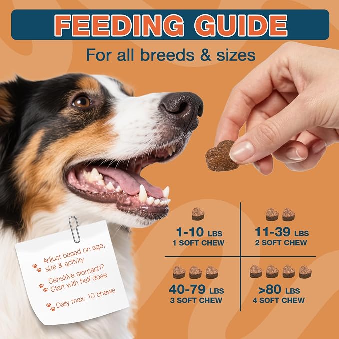 180 Chews Dog Allergy Chews, Itching Skin Relief, Natural Dog Allergy Relief - Image 8