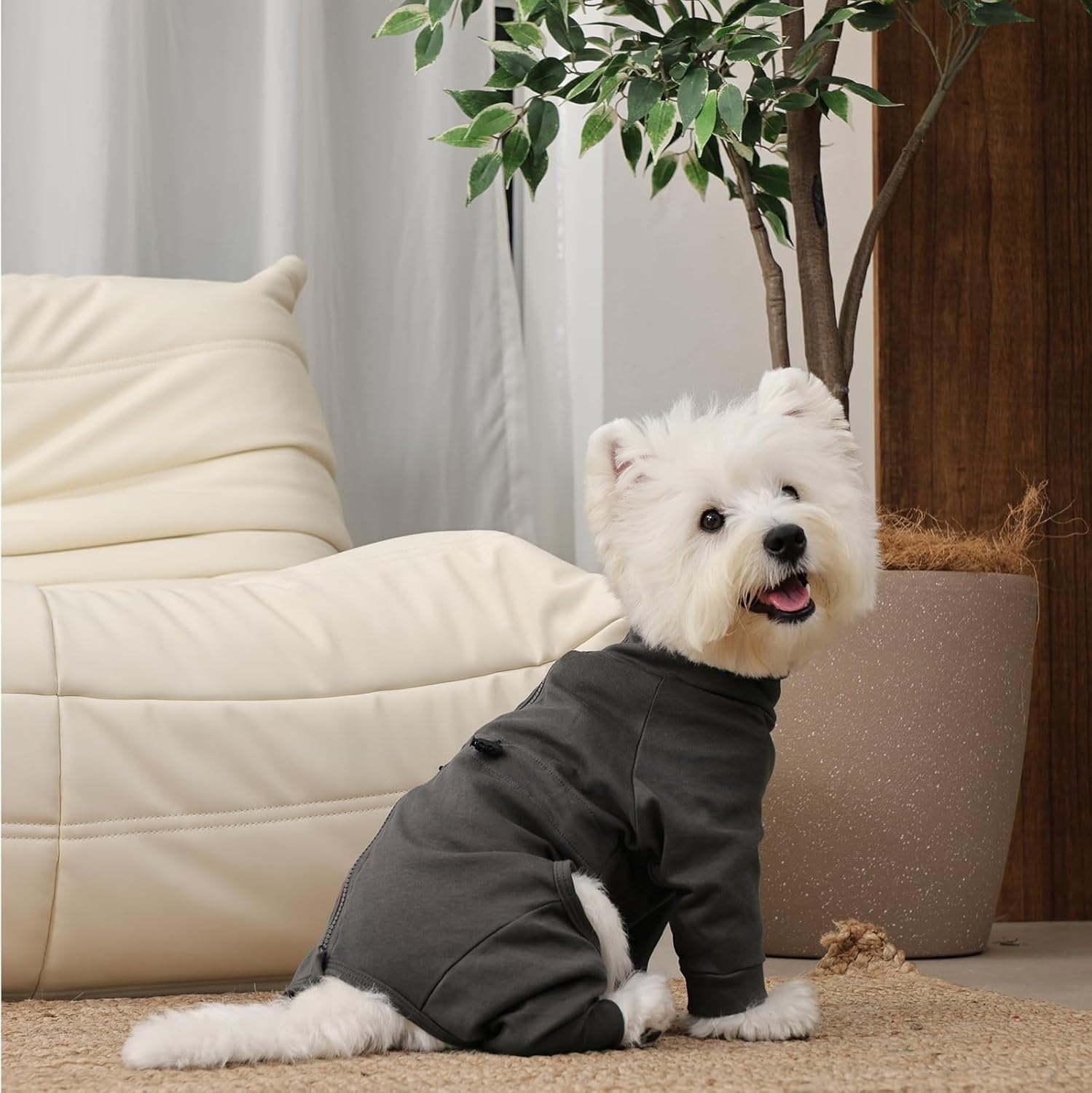Small Dog Pajamas for Boys & Girls, Soft Dog Recovery Suit with Back Zipper & Adjustable Drawstrings, Long Sleeve Anti-Licking Pjs Shedding Suits for Chihuahua, Yorkshire Terrier, Grey XS
