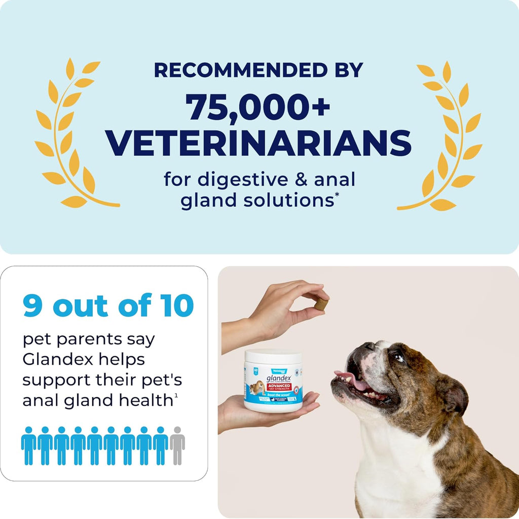 Vetnique Glandex Anal Gland Soft Chew Treats with Pumpkin for Dogs Digestive Enzymes, Probiotics Fiber Supplement for Dogs Boot The Scoot (Advanced Strength Duck/Bacon Chews (Veg), 30 Count)