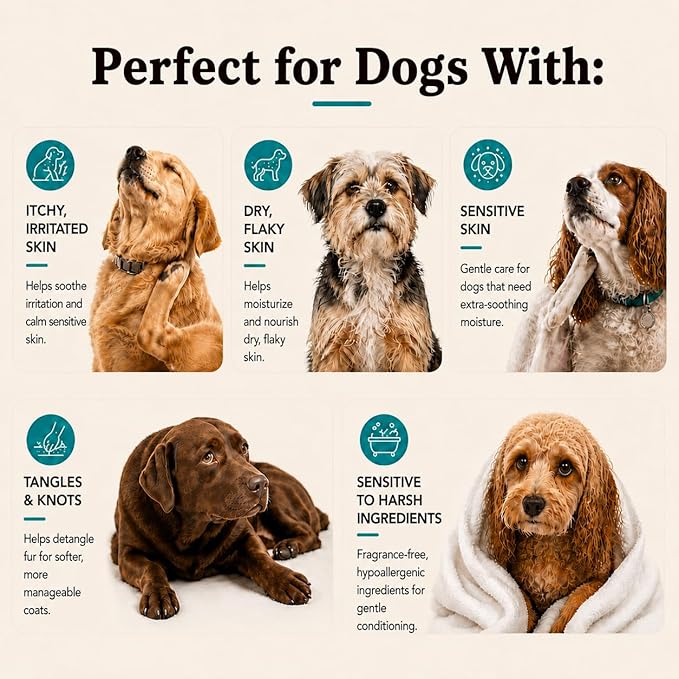 Natural Dog Company Sensitive Skin Dog Conditioner – Oatmeal Moisturizing - Image 5