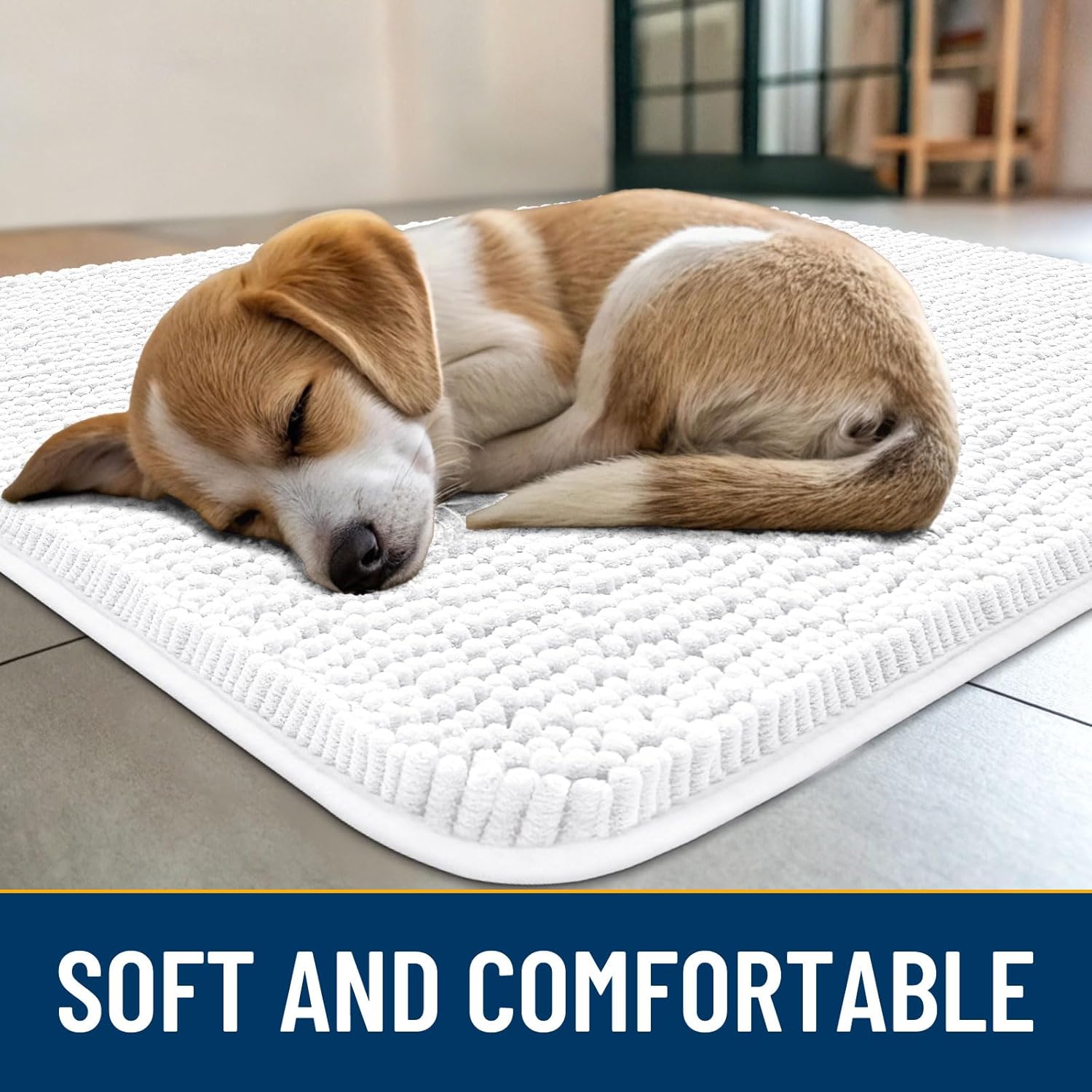 Smiry Dog Door Mat for Muddy Paws 36x24, Absorbs Moisture and Dirt Doormat, Non-Slip Washable Quick Dry Chenille Front Door Mat Indoor Entrance, Entryway Carpet for Inside Floor, White