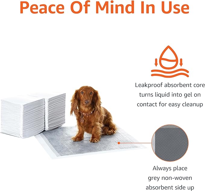 Amazon Basics Carbon Odor Control Dog and Puppy Pee Pads, 5-Layer Leak-Proof - Image 4