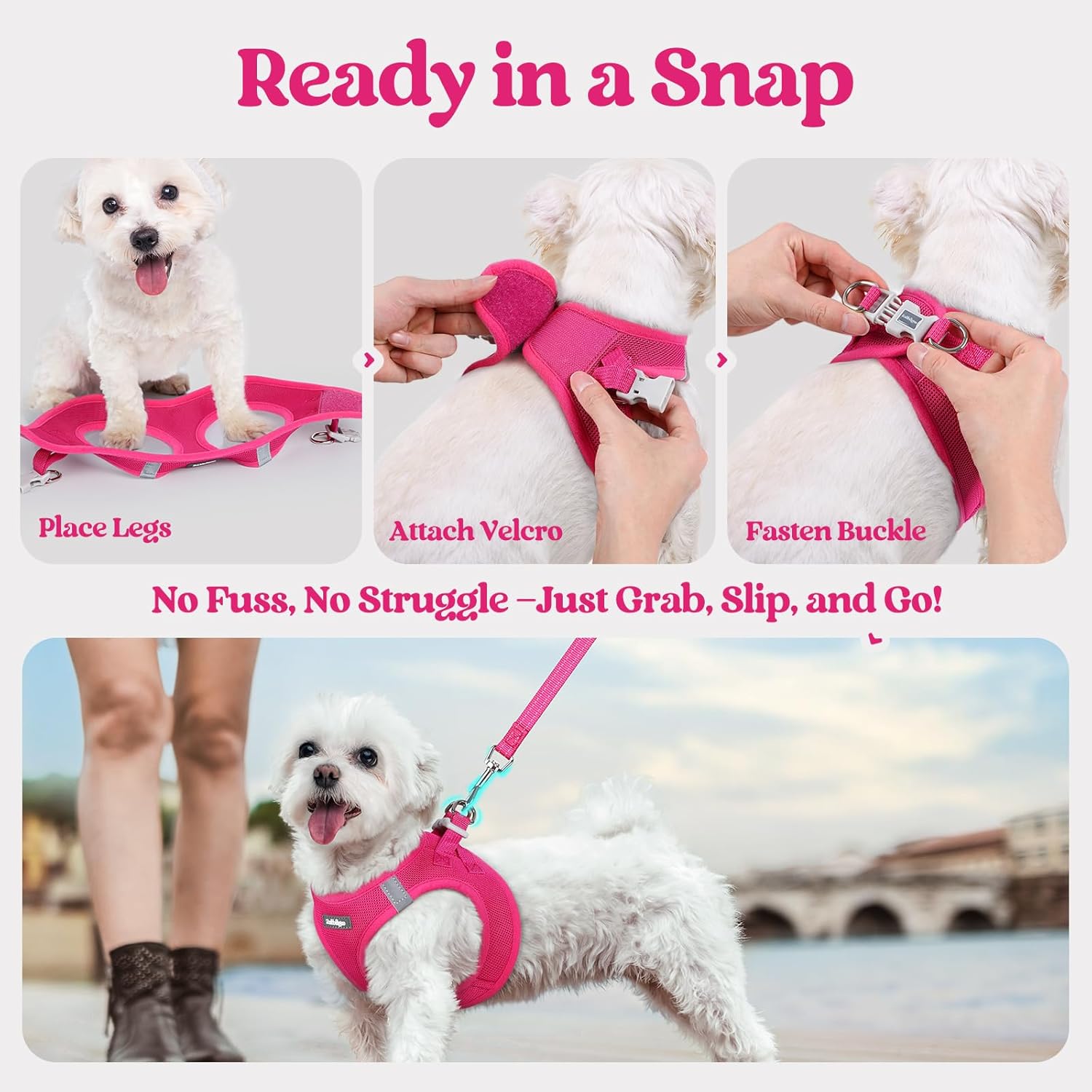 rabbitgoo Dog Harness Medium Sized and Leash Set, Step in Soft Light Puppy Vest, Breathable Mesh Pet Harness, Reflective for Safe Easy Walking, Rosa Red XXL