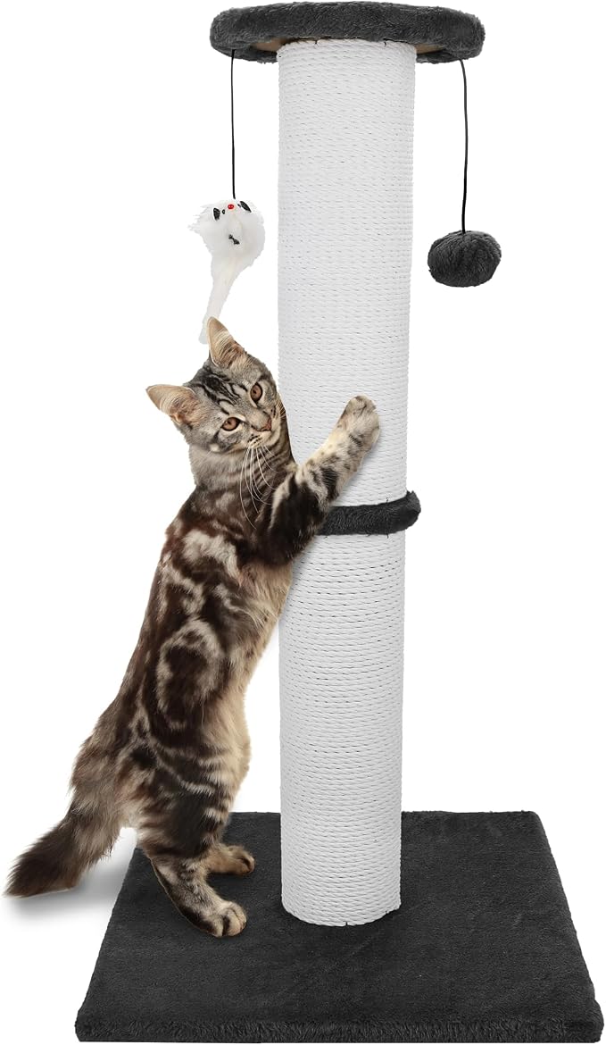 Cat Scratching Post 34 Inches Heavy Duty and Thicker Cat Scratching Post Sisal by Ahomdoo