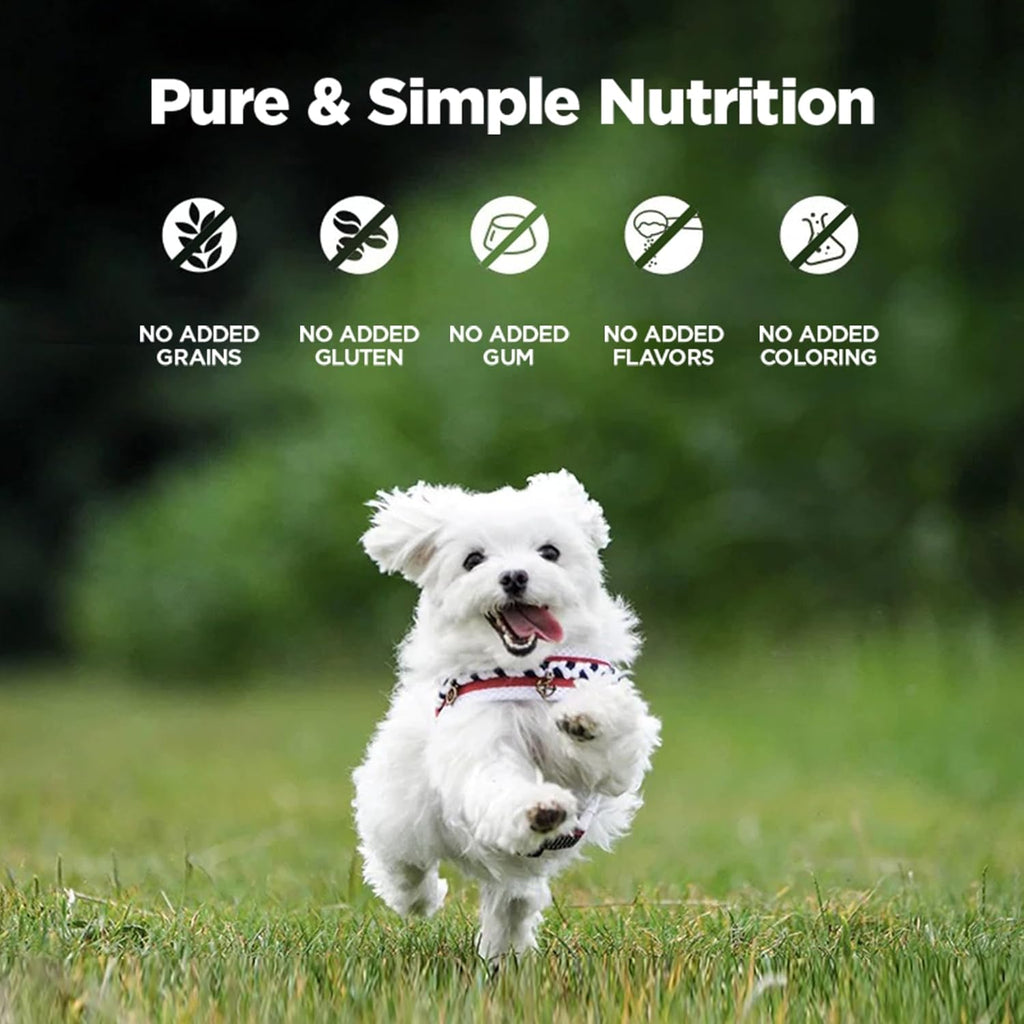 ZEAL New Zealand Canned Wet Dog Food – High Protein, Pure Nutrition, Grain-Free with Superfoods (Lamb, 6oz Can, 12-Pack Tray)