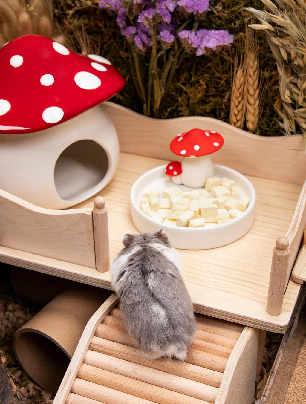 Niteangel Hamster Snack & Treats Toy - Small Animal Natural Treat for Dwarf Syrian Robo Hamsters Gerbils Mice Lemmings Degus or Other Small-Sized Pets