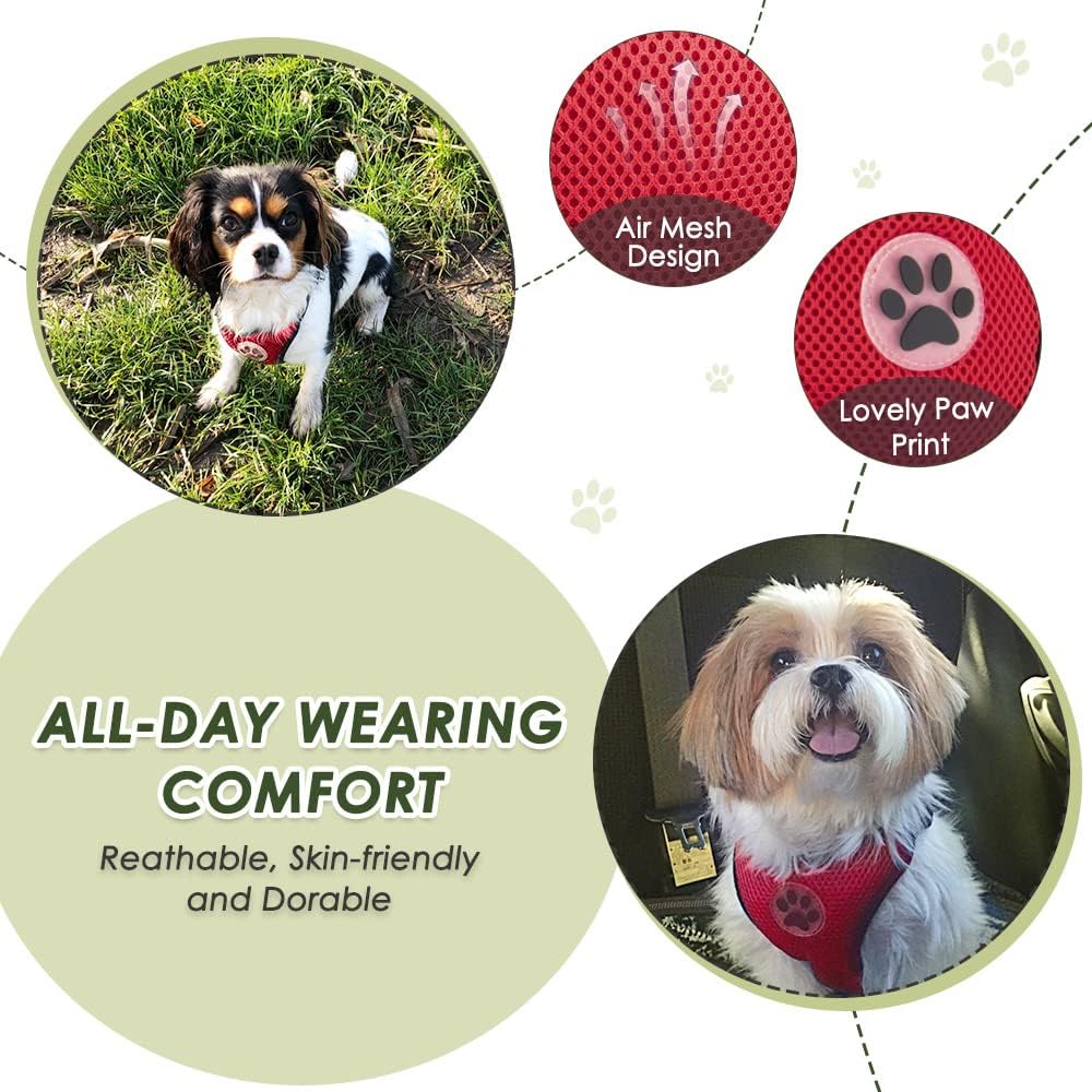 SlowTon Dog Seat Belt Harness for Car, Dog Car Harness Adjustable Mesh Breathable & Dog Seatbelt Safety Tether with Elastic Bungee for Small Medium Large Pets(Red, Double Clip, XS)