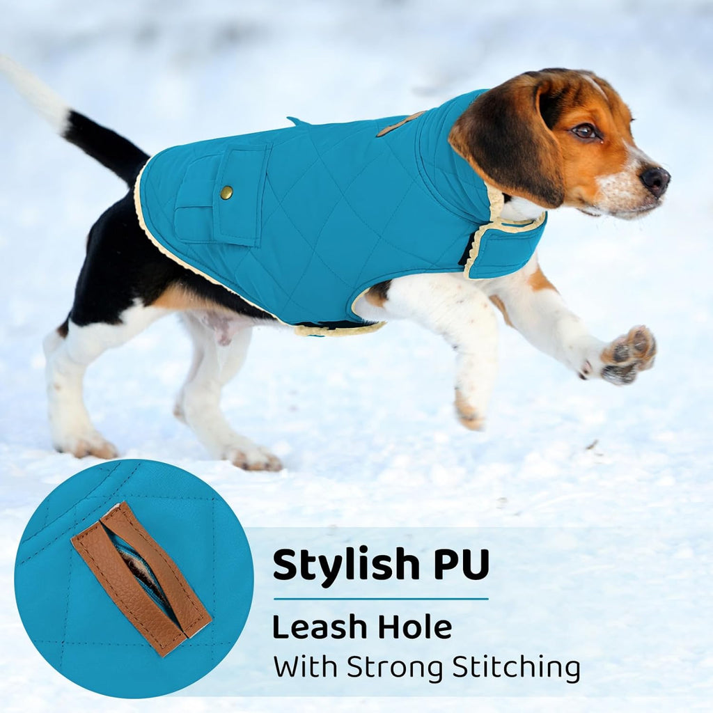 Queenmore Dog Winter Coat Warm Puffer Jacket Waterproof Plush Lining Thermal Cold Weather Vest for Small Medium Large Dogs, Windproof Easy On Pet Jacket Blue S