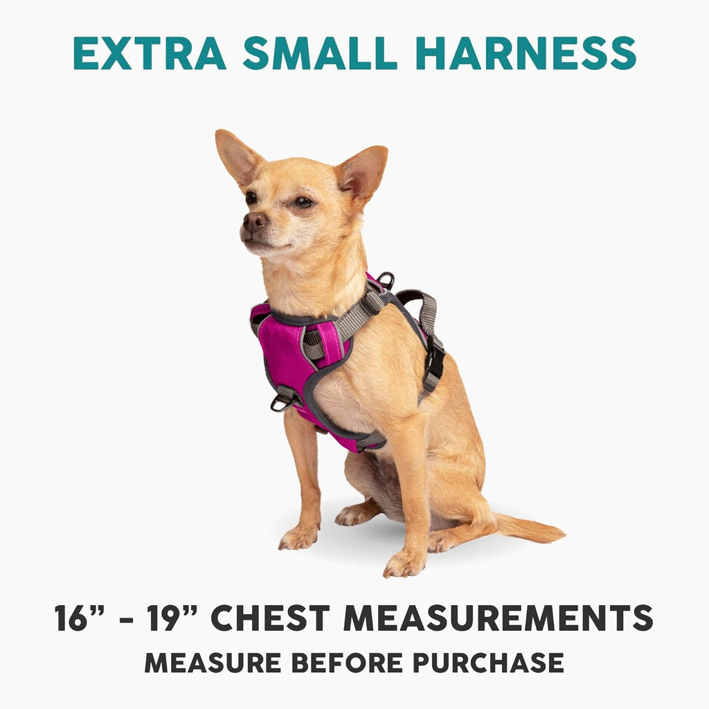 Embark Adventure Dog Harness, No-Pull Reflective Trim Dog Harness for Small, Medium & Large Dogs - Military Grade Nylon, 2 Leash Clips & Gel Lined Handle. Soft & Padded Puppy Dog Vest for Any Breed