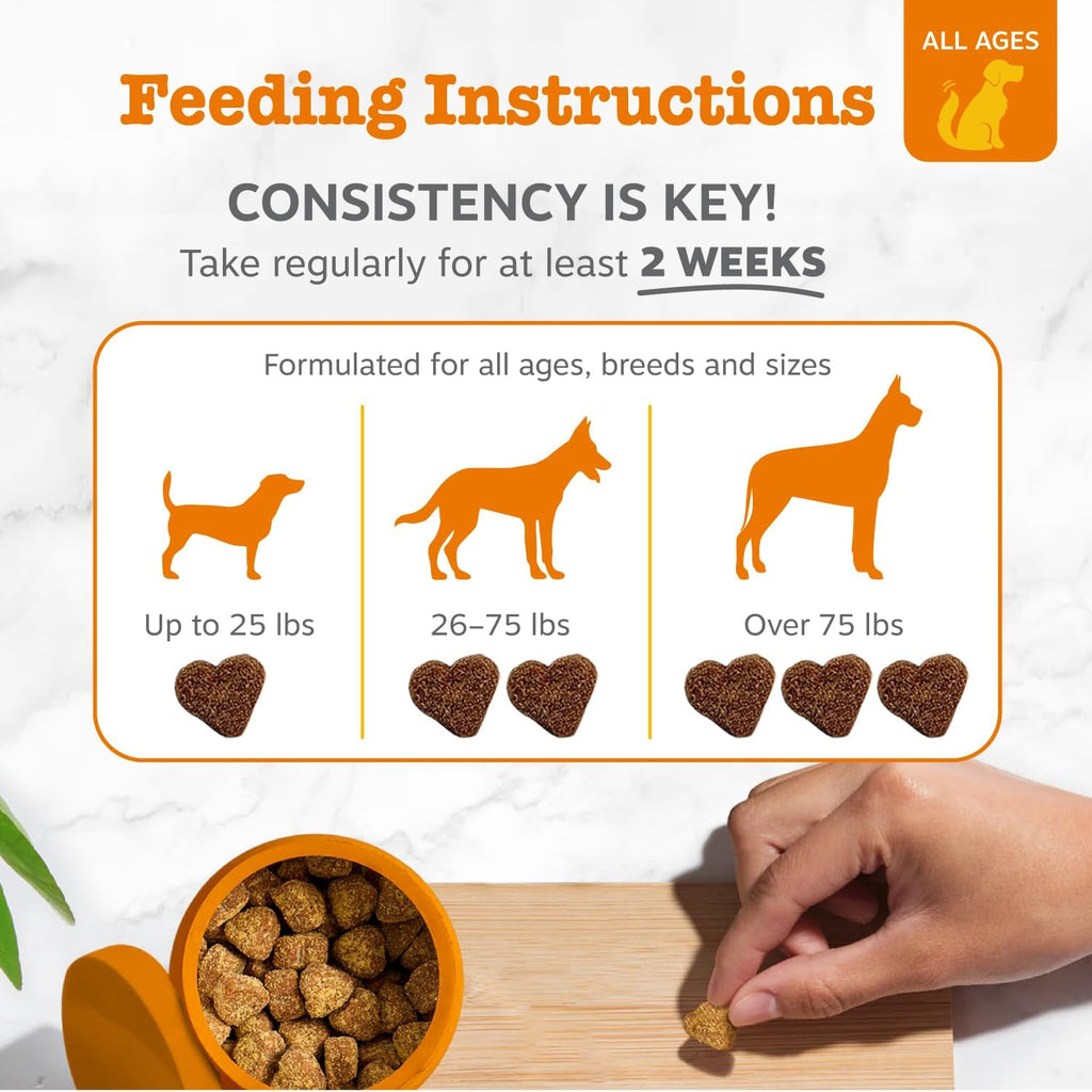 Zesty Paws Probiotics for Dogs, Digestive Enzymes Gut Flora, Digestive Health, Diarrhea & Bowel Support, DE111, Dog Probiotics Soft Chew for Pet Immune System, Chicken, 90 Ct