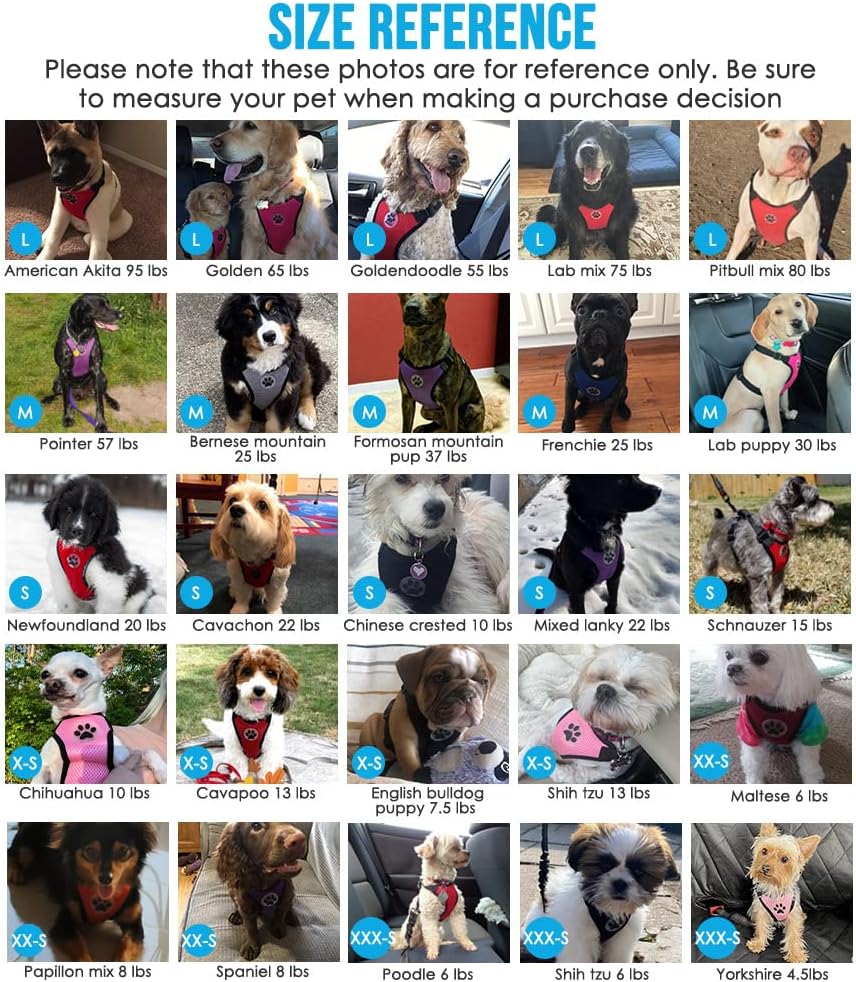 Lukovee Dog Seat Belt for Car, Adjustable Dog Car Harness for Large Medium Small Dogs, Soft Padded & Breathable Mesh Dog Seatbelt with Car Strap and Carabiner(Light Blue Double Clip,XXX-Small)