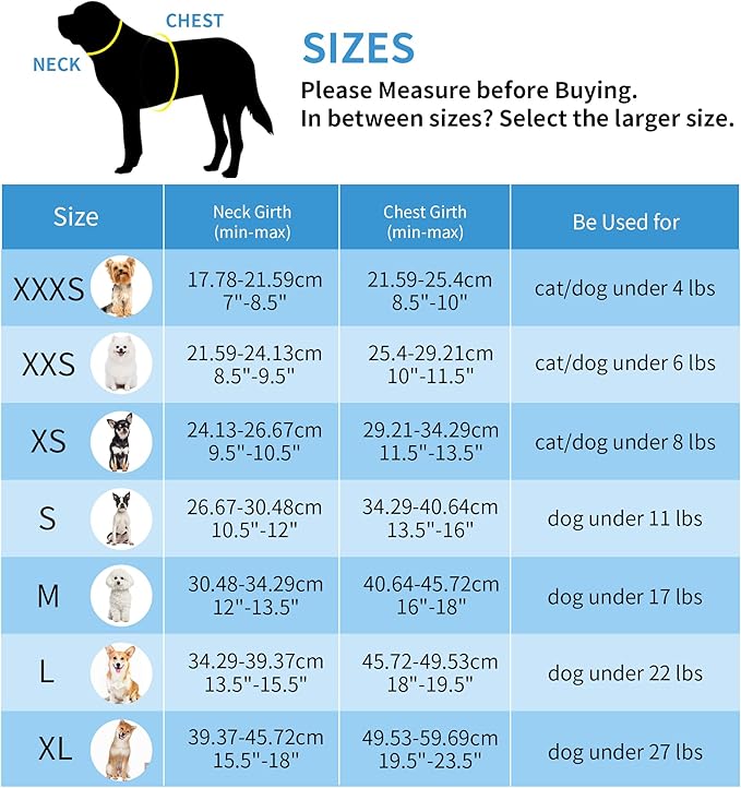 AIITLE Comfortable Dog Harness and Leash Set - Image 5