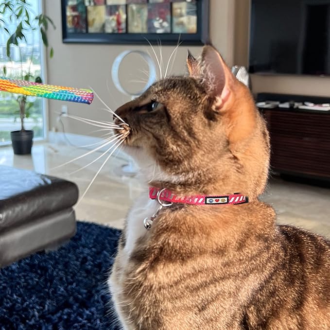 Pawtitas Personalized Black Reflective Cat Collar – Adjustable Custom Collar - Image 9