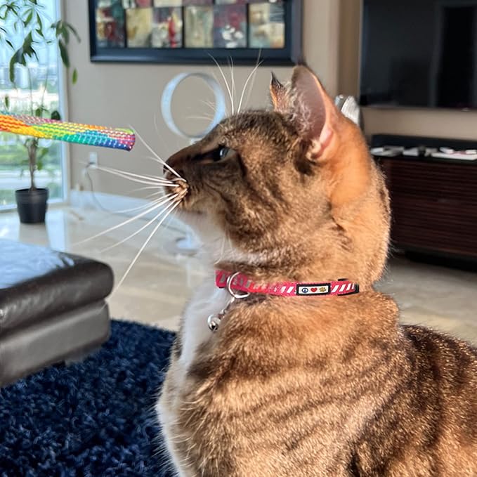 Pawtitas Personalized Blue Reflective Cat Collar – Adjustable Custom Collar - Image 9