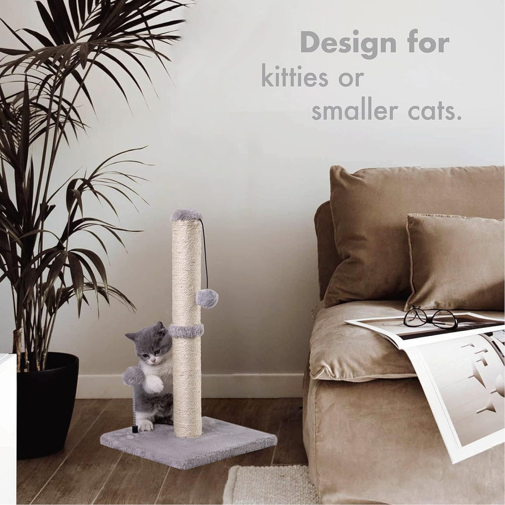 MECOOL Cat Scratching Post Premium Basics Kitten Scratcher Sisal Scratch Posts with Hanging Ball 22" for Kittens or Smaller Cats (22 inches for Kitten, Gray)
