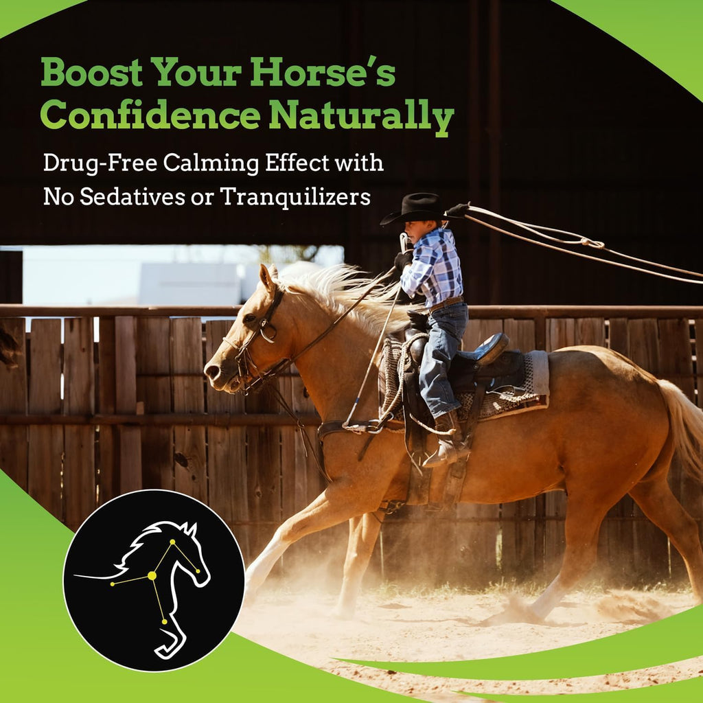 SynChill AF Calming Gel for Nervous Horses - Single Serving - Advanced Formula with L-Theanine, Increased Potency, 100% Natural Supplement, Disposition & Confidence Support for Horses - 12 Pack