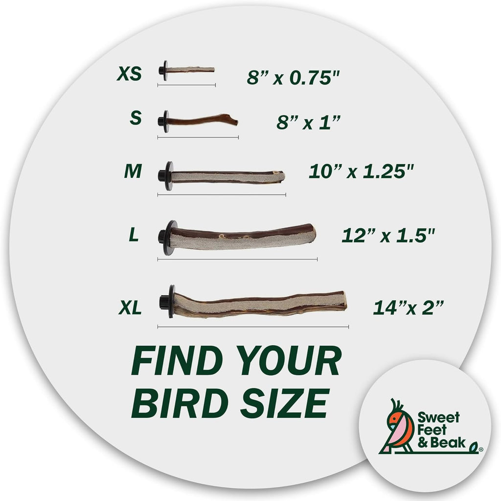 Superoost Manzanita Pumice Pedicure Perch- Easy to Install Bird Cage Accessories for Healthy Feet, Nails and Beak - Natural Bird Perches Imitates Birds' Life in The Wild - XS 8"