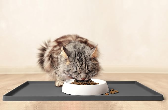 CatGuru Cat Bowls, Whisker Friendly Food Bowl - Image 7