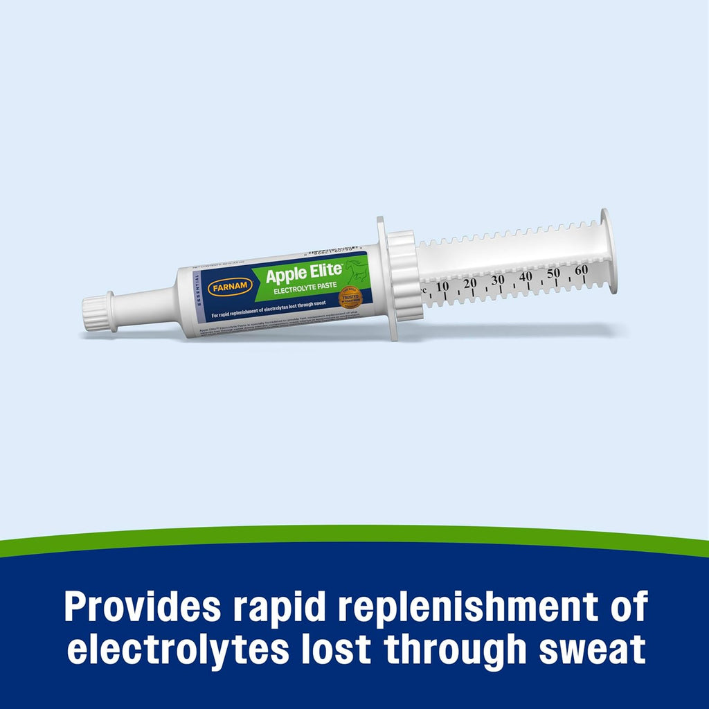 Farnam Apple Elite Electrolyte Paste Supplement for Horses, Replaces Vital Minerals, Encourages Hydration, No Added Sugar, 60 cc syringe