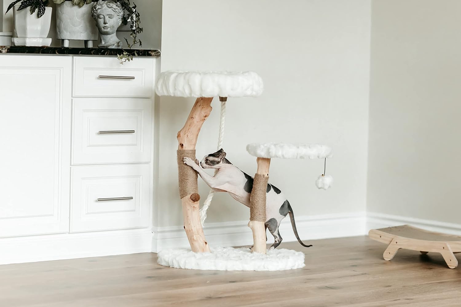 Mau Lifestyle Luxury Cat Tree: Modern Cat Condo & Luxury Wood Cat Tower; Natural Branch Scratching Tree & Cat Condo; Cat Gifts by Mau