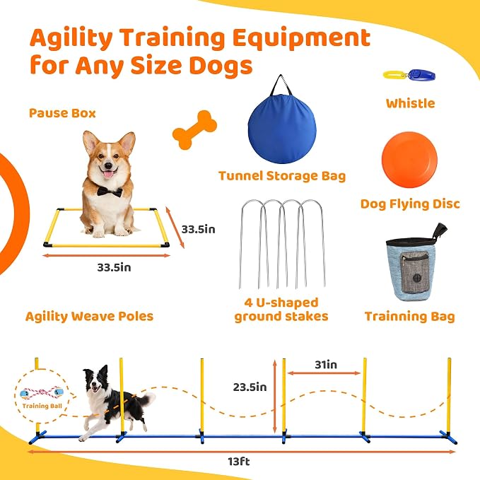 Dog Agility Course Backyard Set - Image 2