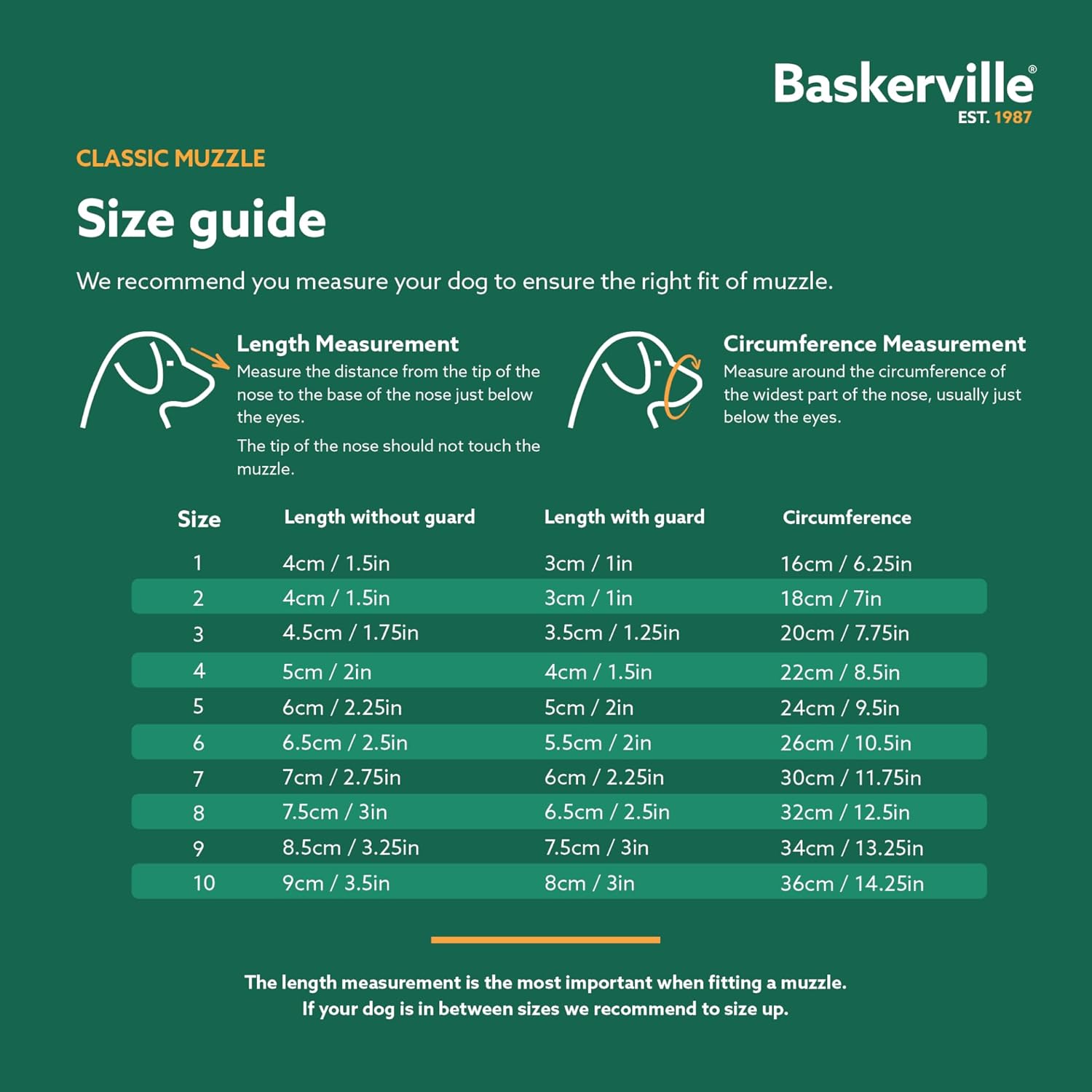 Baskerville Classic Basket Muzzle - Dog can Pant and Drink, Prevents Biting and Food Waste Scavenging, Strong TPR, Breathable Dog Training Muzzle for Long Nosed Medium to Large Dogs (Size 8)