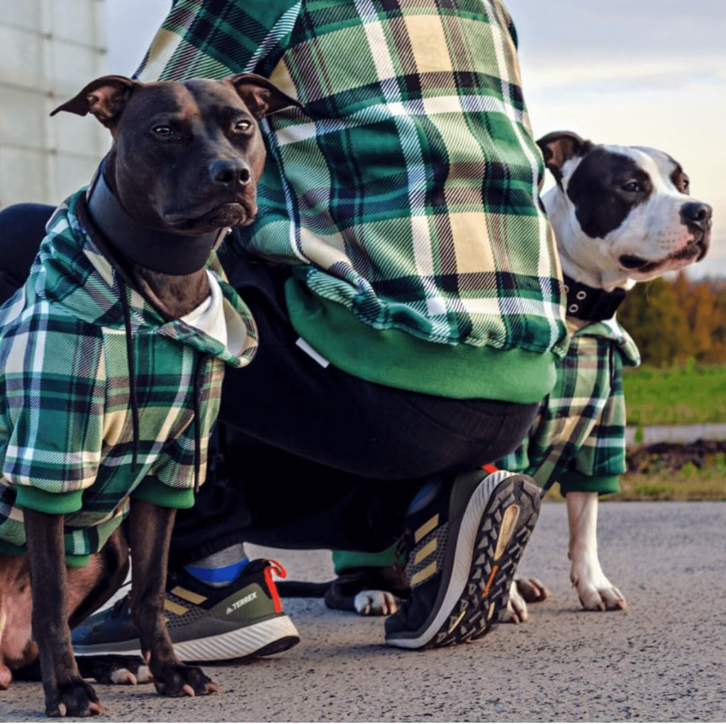 Spark Paws Dog Hoodie – Premium Dog Sweater for Small, Medium, and Large Dogs | Warm Outfits for French Bulldogs, Pitbull, Puppy, Winter Jacket Alternative - Green Plaid - L