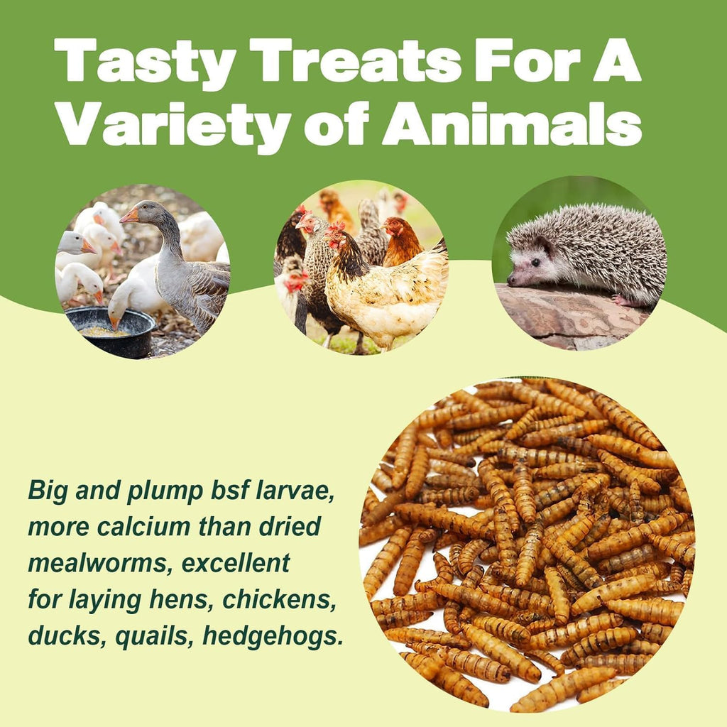 5LB Dried Black Soldier Fly Larvae, 86X Calcium Than Dried Mealworms, High Protein Non-GMO Organic Chicken Feed