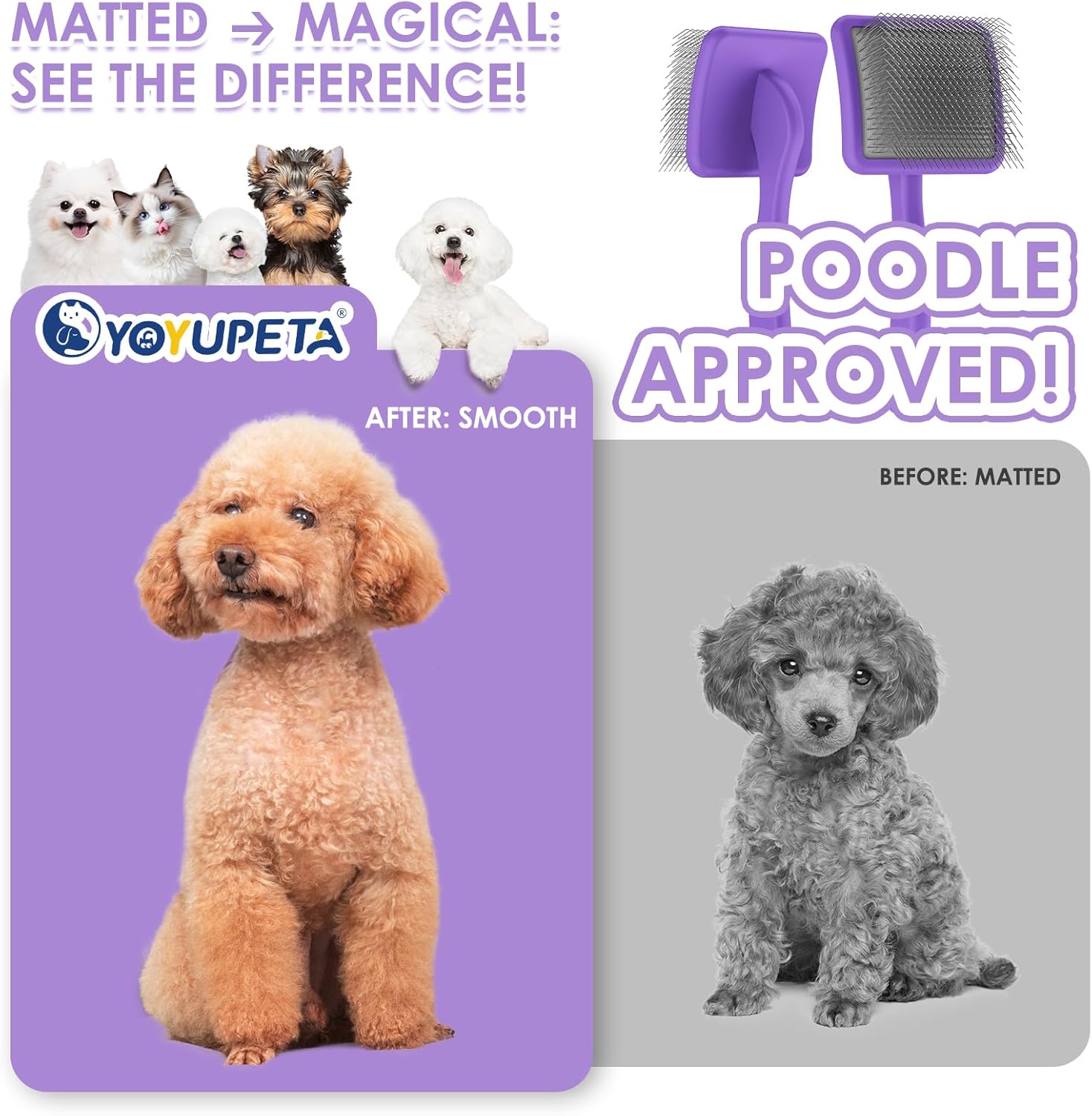 Large Slicker Brush for Dogs - 3PC Pet Grooming Kit - Undercoat Rake & Stainless Comb | Long Pins Remove Mats on Poodles, Golden, Labradoodles | Thick Coat Deshedder for Dogs, Cats, Purple