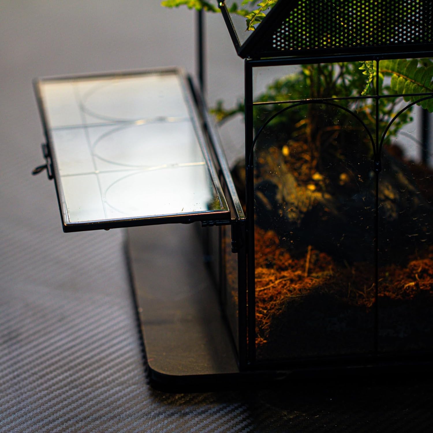 NCYP Glass Enclosure with Vent Holes for Insect, Jumping Spiders, Snails - 7.5" x 4.9" x 9" Small Closed Front Opening Door Succulent Terrarium - House Shape Habitat, Home Decor Black (No Plants)
