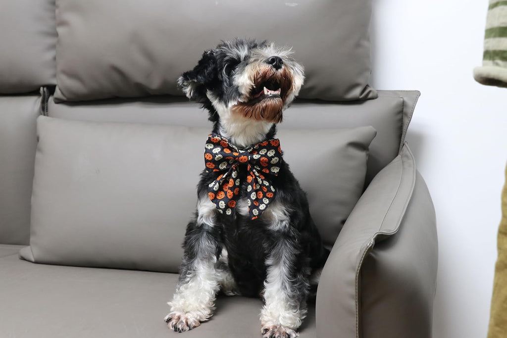 Lionet Paws Halloween Dog Collar with Bowtie - Cute Cotton Adjustable Black Bowtie Dog Collar with Metal Buckle for Small Medium Large Dog Girl Boy Gift, L, Neck 16-24in