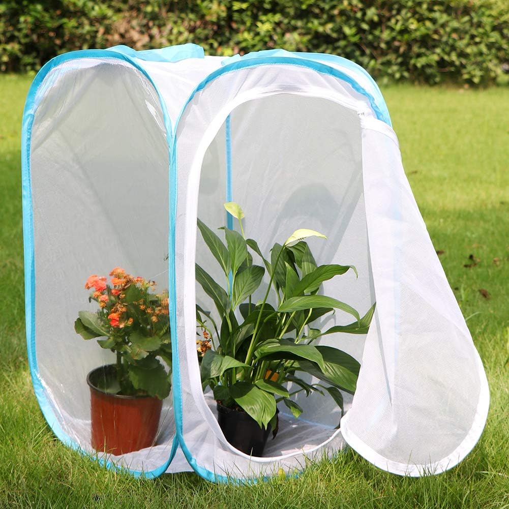 RESTCLOUD Insect and Butterfly Habitat Cage Terrarium Pop-up 24 Inches Tall