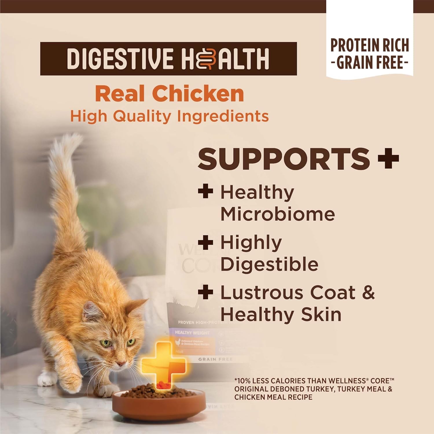 Wellness CORE+ Adult Dry Cat Food for Indoor and Outdoor Cats, Wholesome Grains, Natural, Digestive Health Chicken & Rice (11 Pound Bag)