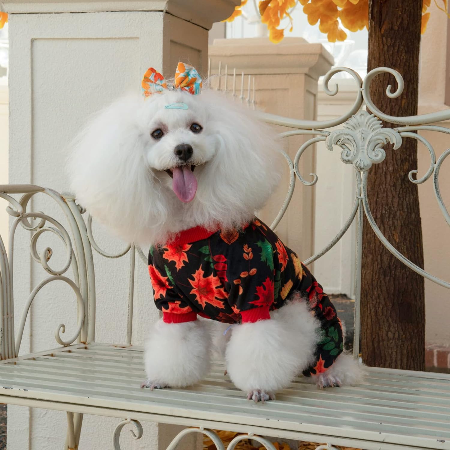 CuteBone Dog Halloween Pajamas Puppy Onesies Small Dogs Soft Pjs Coat Cat Apparel Comfy Pet Christmas Clothes Outfit Doggie Bodysuit P265L