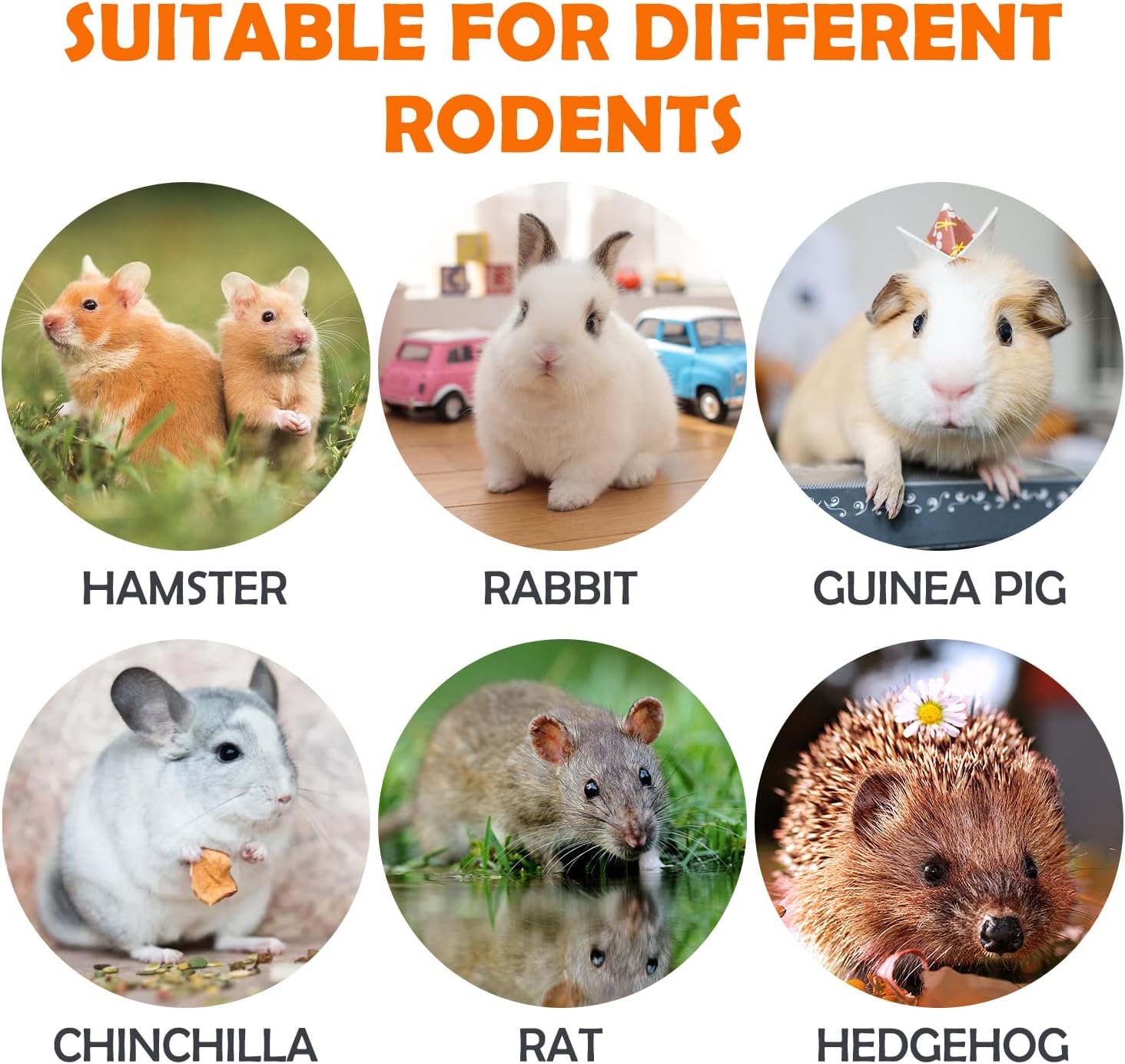 Sofier Timothy Hay Sticks - 44Pcs Natural Chews for Teeth - Handmade Rabbit & Guinea Pig Toys - Chinchilla, Rat, Hamster, Gerbil