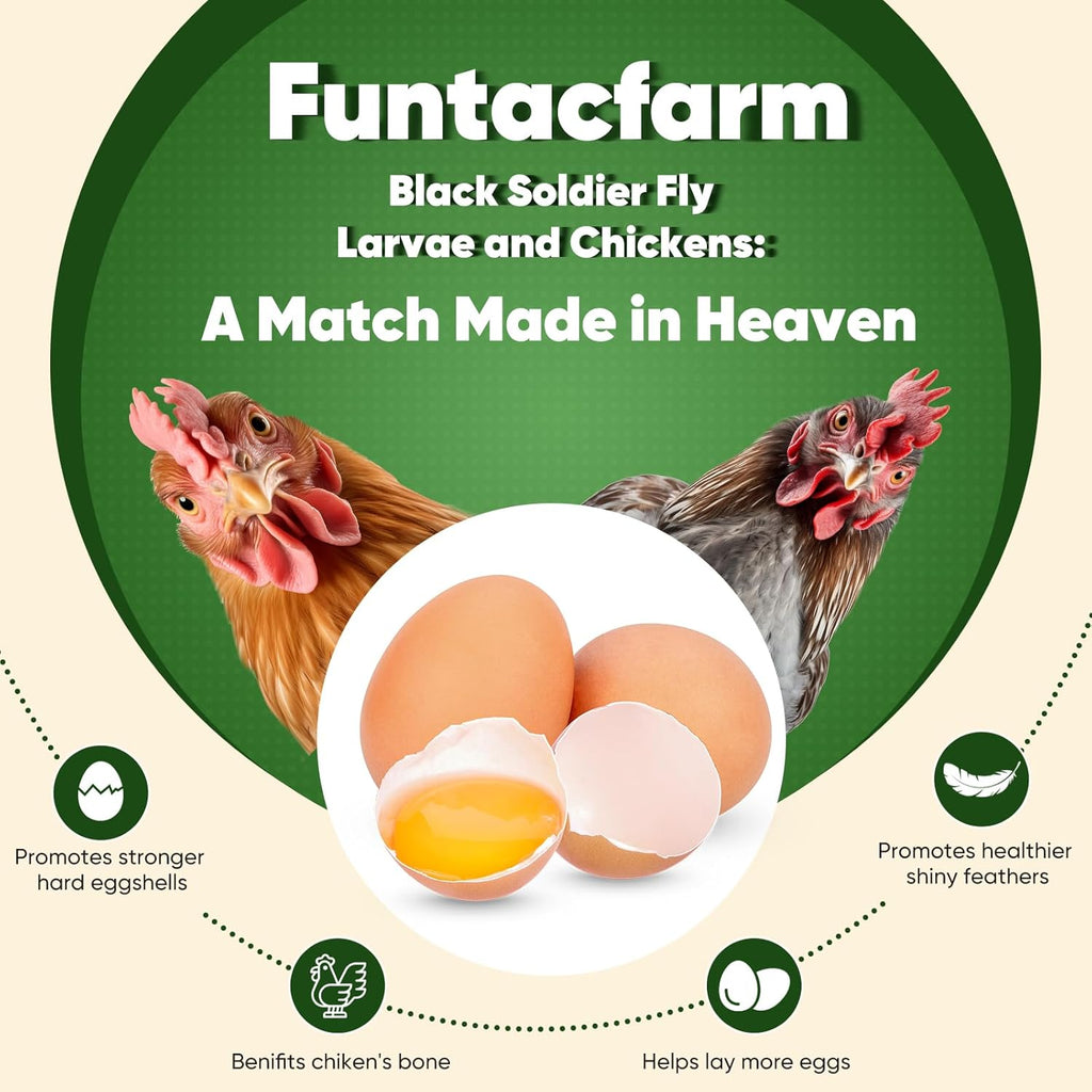 Dried Worms Black Solider Fly Larvae 5LB, Superior to Mealworms Chicken Treat, 86x Calcium Than Meal Worms, 100% Non-GMO Organic Chicken Feed
