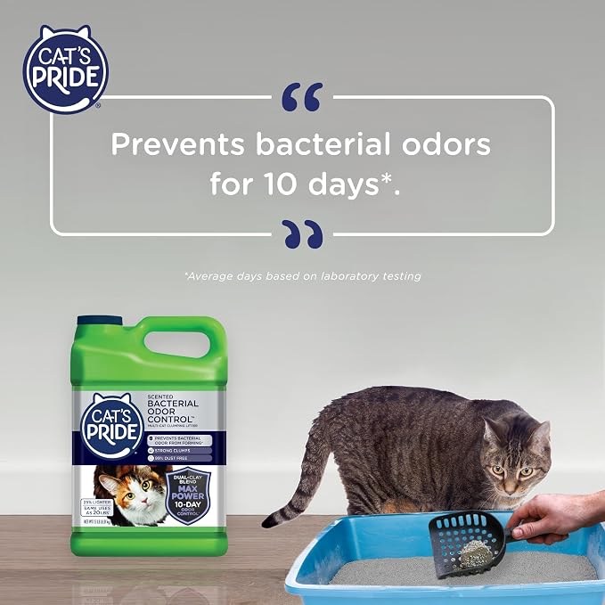 Cat's Pride Max Power: Bacterial Odor Control - Image 8