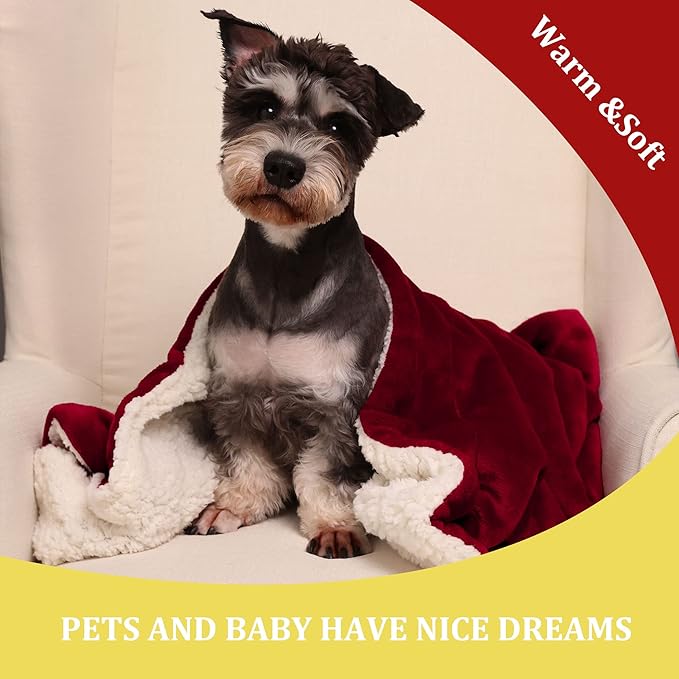 NANPIPER Baby Sherpa Blanket,Warm Toddler Throw Blanket,Soft Newborn Fleece Blanket for Winter (Wine Red,30x40 inches)