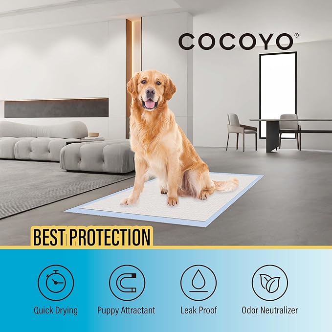 COCOYO Best Value 22"x22" Dog Training Pads 50 Count | Dog Pee | Super - Image 3