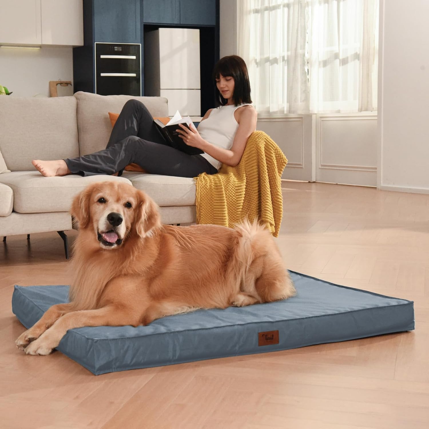 Outdoor Large Dog Bed, Waterproof Dog Bed for Large Dogs, Egg Crate Foam Pet Bed with Removable Washable Oxford Cooling Cover, Blue
