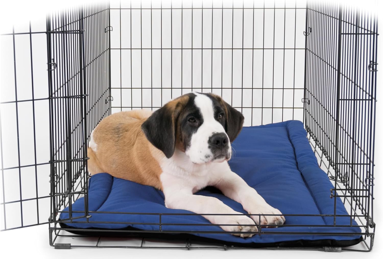 K9 Ballistics Tough Ripstop Dog Crate Pad - Durable & Machine Washable with Non-Skid Bottom and 120-Day Warranty, Fits 48" Wire Crates - X-Large, Blue Quartz