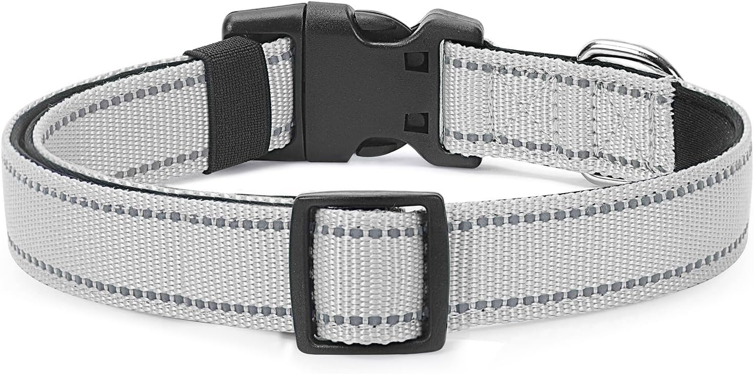 Reflective Dog Collar Padded with Soft Neoprene Breathable Quick Release Basic Dog Collars for Small Dogs Girl Boy Silver