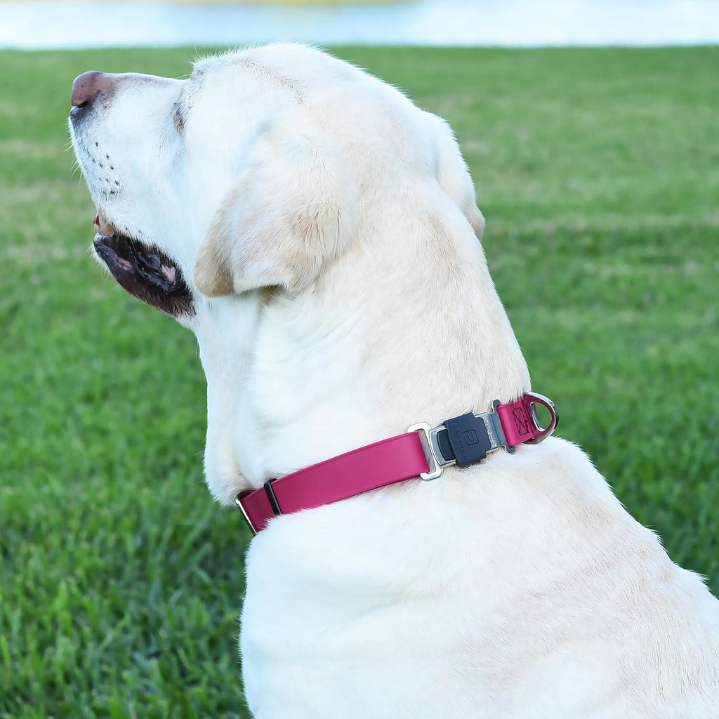 Dogline Biothane Waterproof Dog Collar with Herm Sprenger Stainless Steel Quick Release Buckle – Heavy Duty Tactical Durable Collar for Dogs – Comfortable and Safe Pet Collar, W 3/4" L 12-19", Magenta