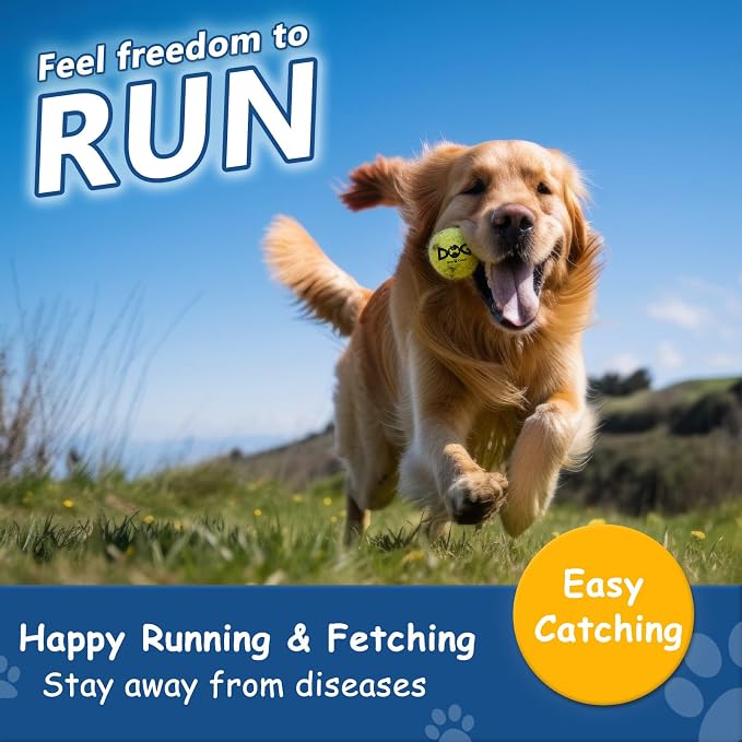 Squeaky Tennis Balls for Dogs - Image 2