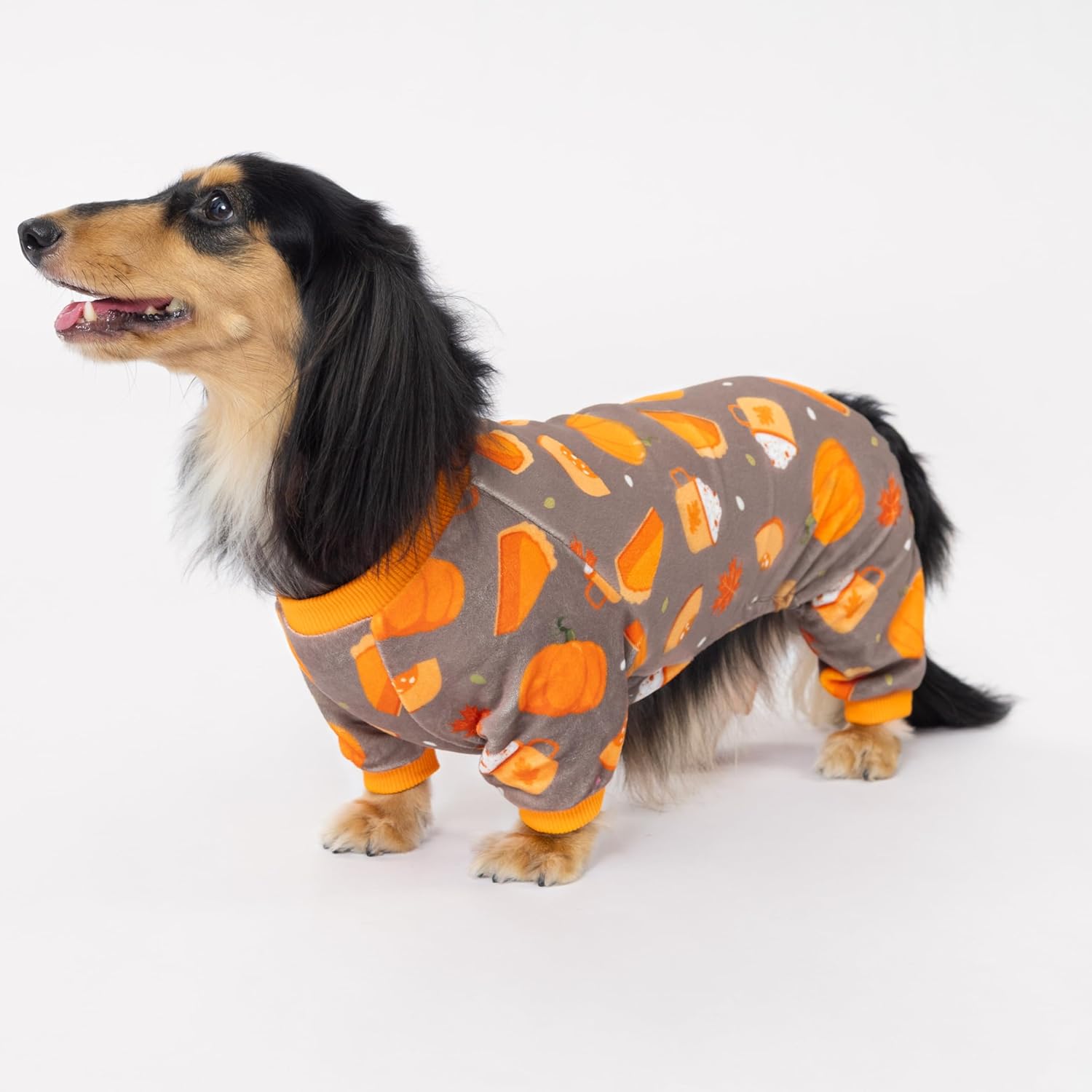 Fitwarm Pumpkin Dog Pajamas, Thanksgiving Outfit for Small Dogs Boy Girl, Pet Onesie, Brown, Orange, XL