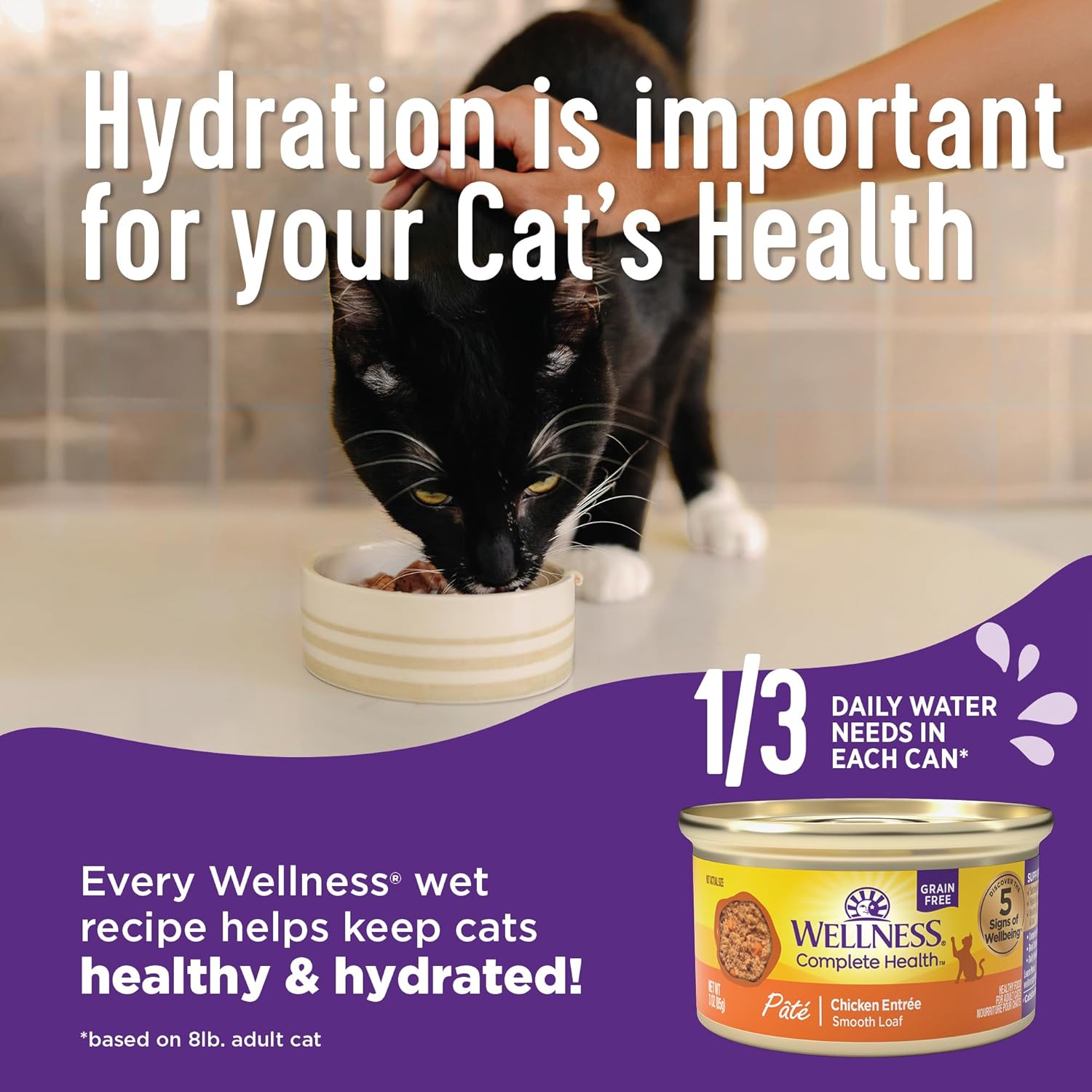 Wellness Complete Health Minced Adult Wet Cat Food, Natural, Protein-Rich, Grain Free, 5.5 Ounce, 24 Pack, (Tuna Entrée)