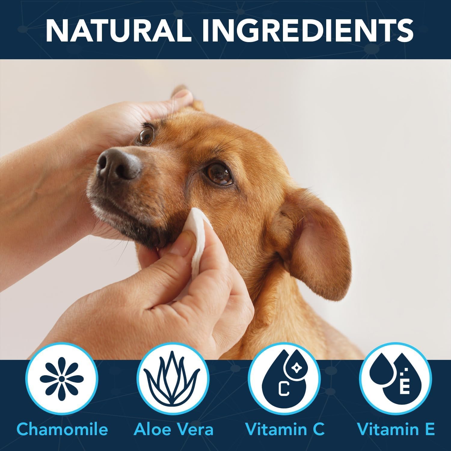 NOVEHA 300PCs Dog Eye Wipes - Tear Stain Remover for Dogs - Formulated with Chamomile and Aloe to Remove Eye Debris, Tear Stains & Eye Discharge - Plant Based, Safe, and Large 5"x5" Unscented Wipes